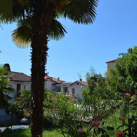 Palm Garden