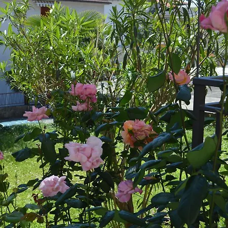 Apartment Palm Garden Opatija